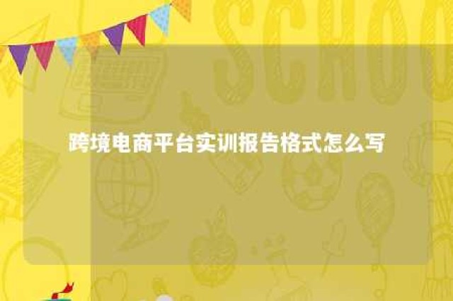 跨境电商平台实训报告格式怎么写 关于跨境电商实训总结报告