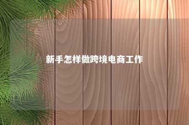 新手怎样做跨境电商工作 新手怎样做跨境电商工作室