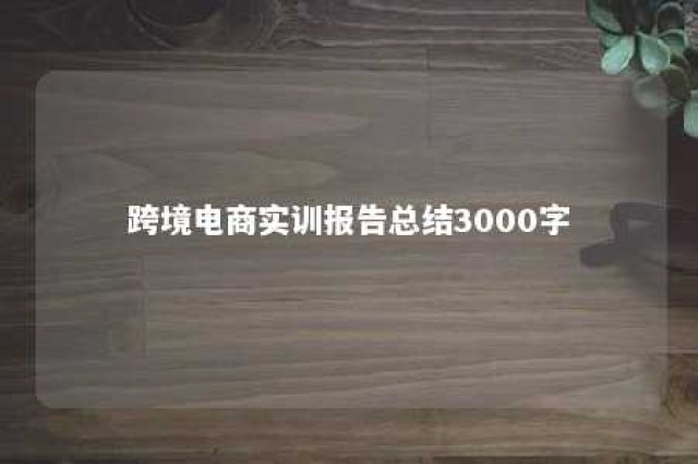 跨境电商实训报告总结3000字 跨境电商实训报告总结200字