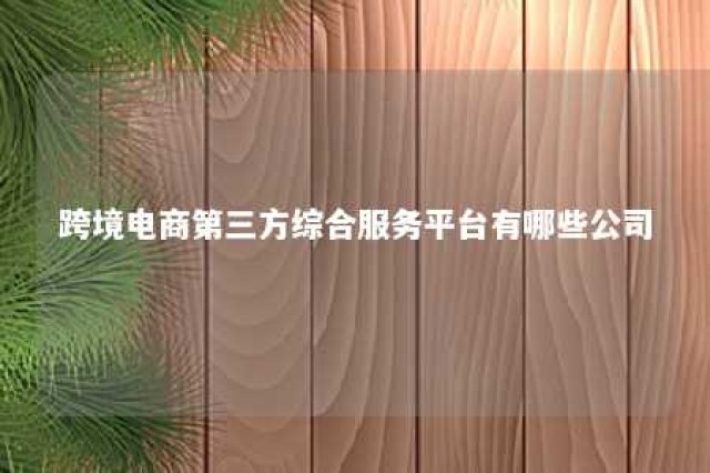 跨境电商第三方综合服务平台有哪些公司 跨境电商专业第三方服务平台